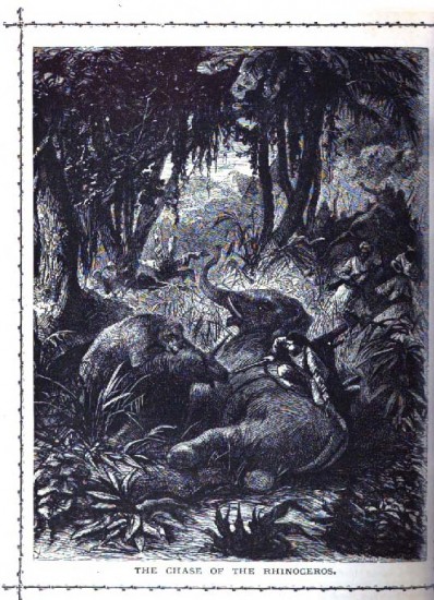 Chase of rhinoceros 1871
