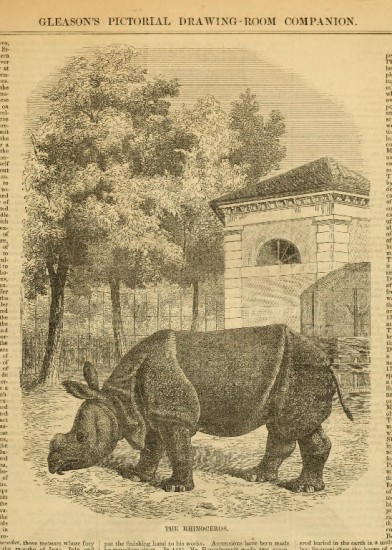Gleason Pictorial 1853