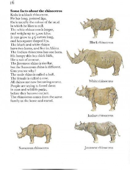 Rhino species