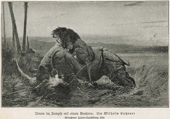 Kuhnert Rhino and Lion