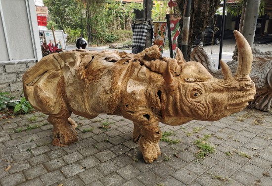 A Sumatran woody rhinoceros