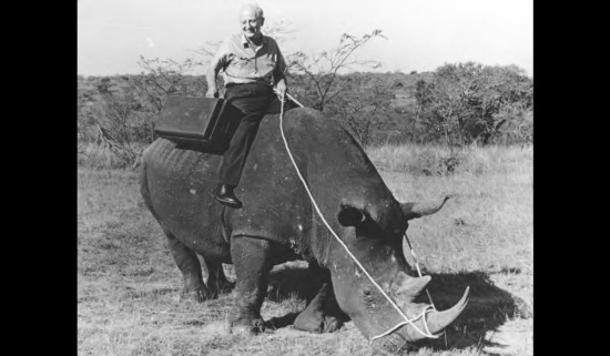 Goebel on rhinoceros