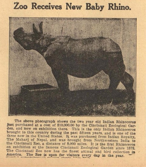 Cincinnati Zoo receives new baby rhino