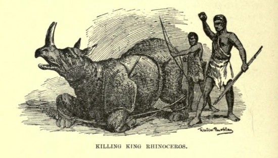 Killing King Rhinoceros