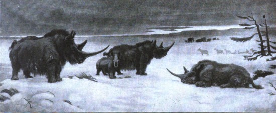 Woolly rhinoceros in Siberia