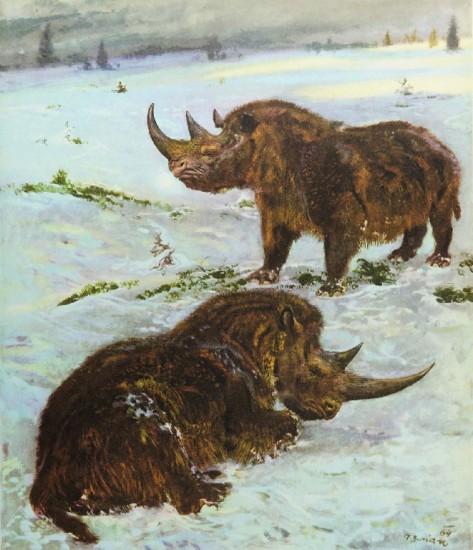 A wintery scene with Woolly rhinos