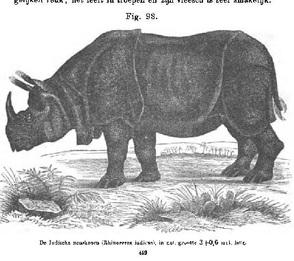 Buch der Natur 1874
