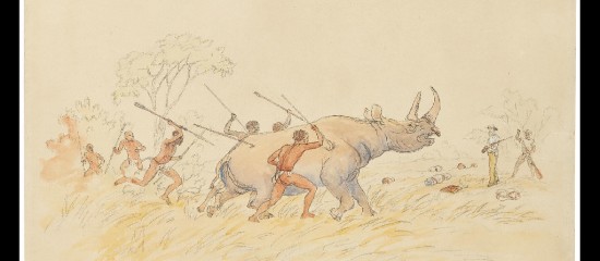 Rhinoceros at Samarinja