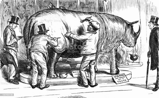 Varnishing the BM Rhinoceros