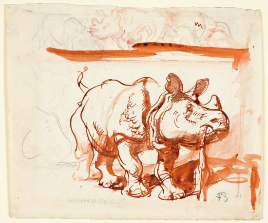 Brangwyn Rhino study