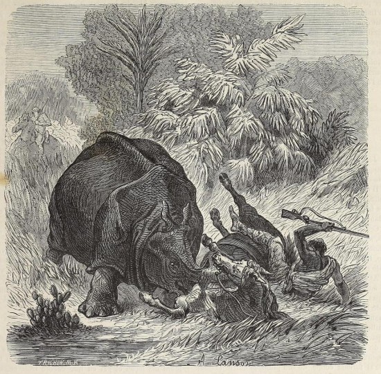 Lançon Rhino Attack