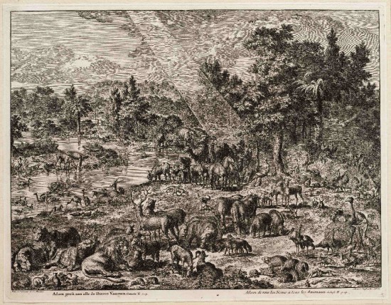 Adam names animals - Luyken 1708