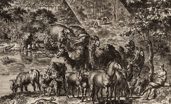 Adam names the rhinoceros - Luyken 1708