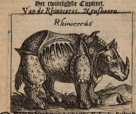 Pliny Rhinoceros 1755