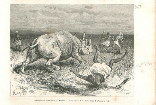 Thomson chased by rhino