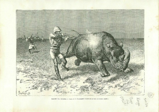 Thomson shooting black rhino