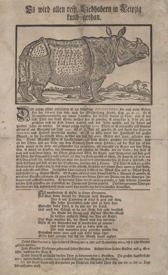 Rhino in Leipzig 1747