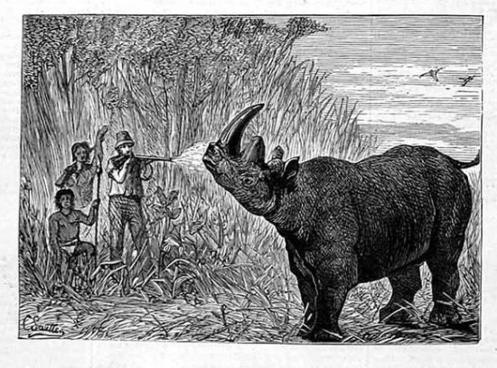 Elephant hunter 1875