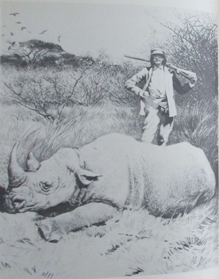 Potocki 1900 First Rhinoceros