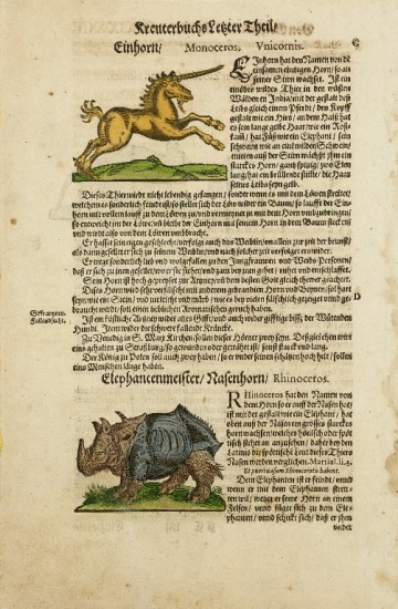 Lonicer Kreuterbuch 1582
