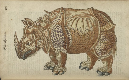 Topsell Four-Footed Beasts 1607