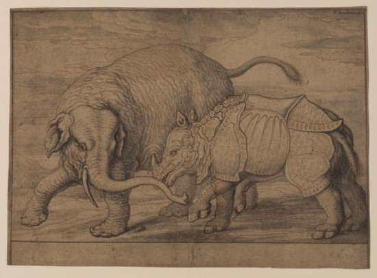 Barlow 1684 Rhino fight with elephant