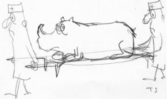 Rhino on stretcher