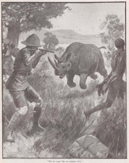 Rhino attack by Prater 1920