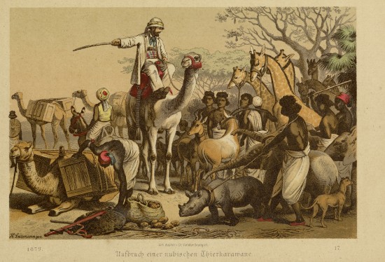 Nubian Animal Caravan 1879
