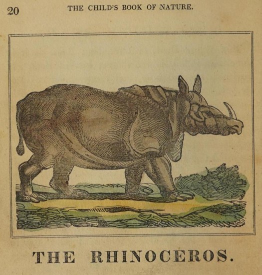 Carter 1830 Child's Book