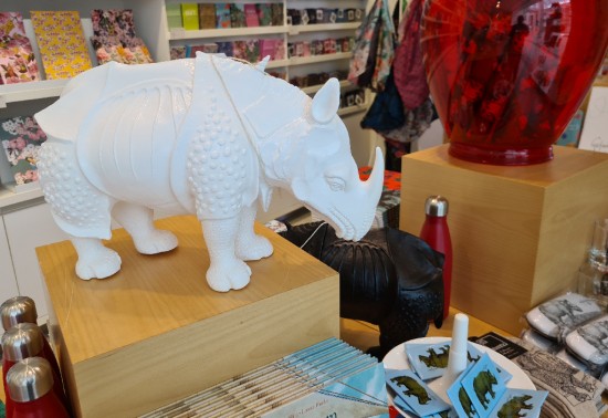 Rhino model after Durer