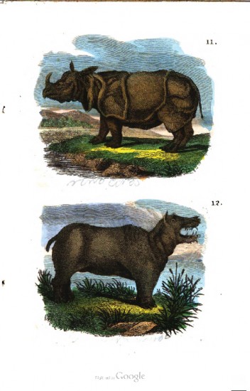 Otto 1837 Natural History for Youth