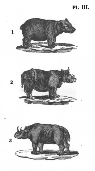Buffon 1832 Dutch children's edition