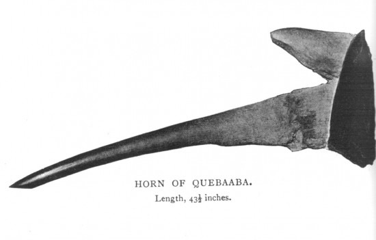 Oswell 1900 Quebaaba