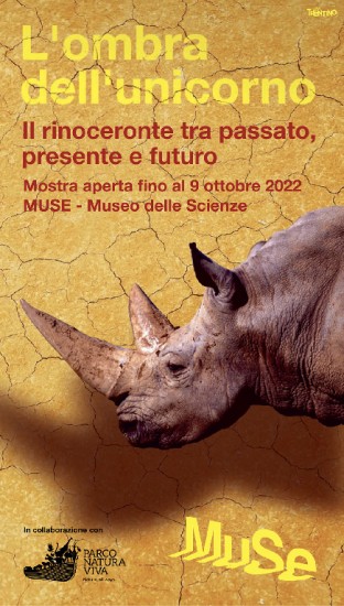 L'ombra dell'Unicorno - Il Rinoceronte tra passato, presente e futuro (exhibition)