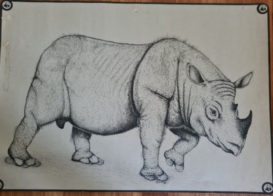 Van Strien 1970 Sumatran rhino