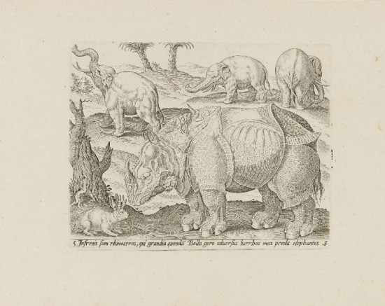De Bruyn 1583 Rhino and elephants