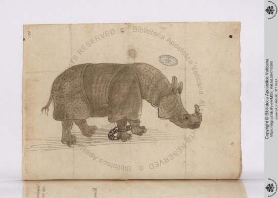 Lisbon rhino 1515 precursor of Penni