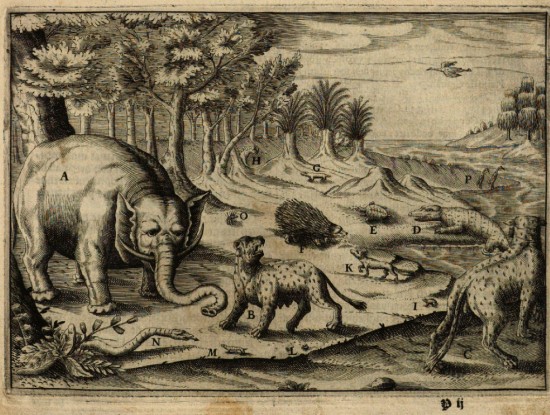 Marees 1617 Guinea