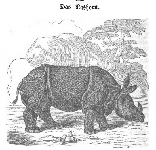 Münchener Jugendfreund 1855