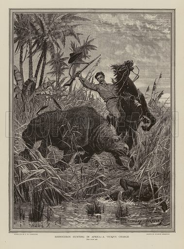 Rhino attacking horse rider