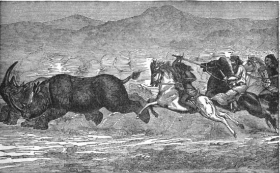 Rhinos pursued by riders