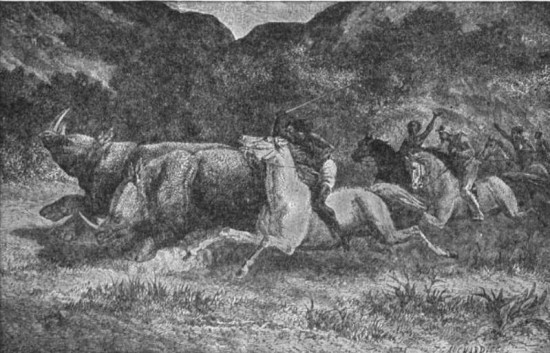 Horsemen attacking rhinos