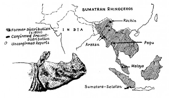 Historical range of D. sumatrensis 1966