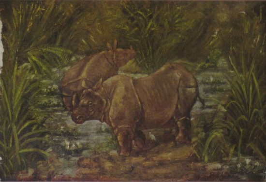 Mukherjee 1966 rhinos in India