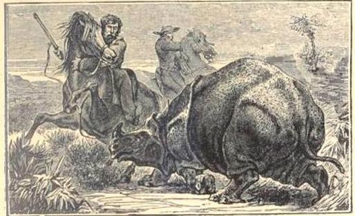Bres 1904 Rhino hunt