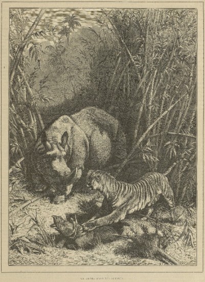 Chasse Illustree 1887 Tiger attack