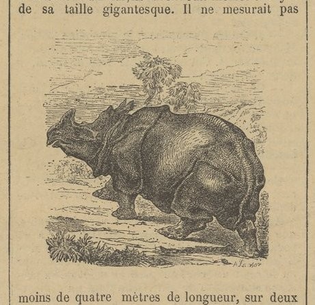 Langlois 1898 Single horned