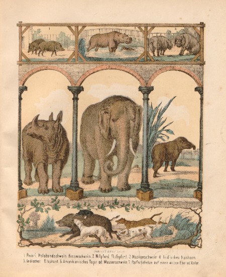 Zaehler 1868 Zoo