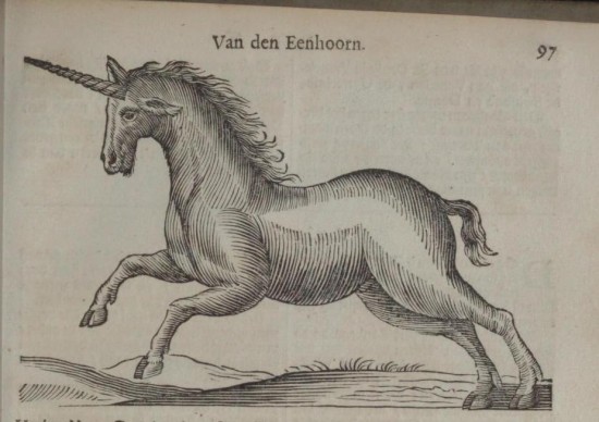 Nylant 1672 Unicorn